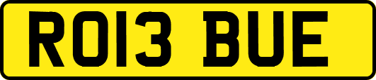 RO13BUE