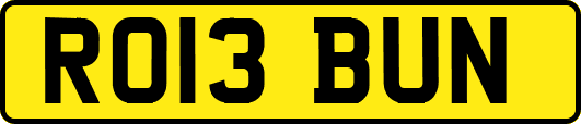 RO13BUN
