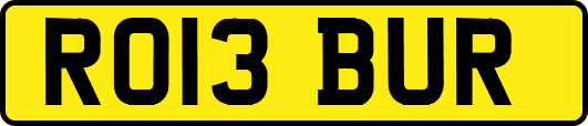 RO13BUR