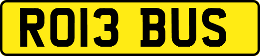 RO13BUS