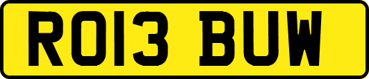 RO13BUW