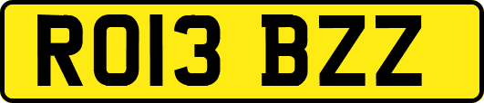 RO13BZZ
