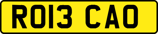 RO13CAO