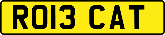 RO13CAT
