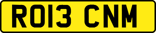 RO13CNM