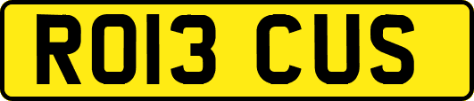 RO13CUS