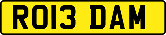 RO13DAM