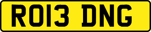 RO13DNG