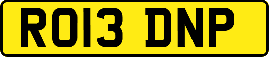 RO13DNP