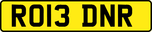 RO13DNR