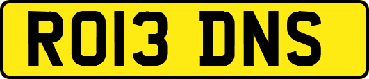 RO13DNS