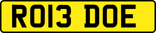 RO13DOE