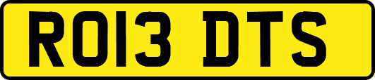RO13DTS