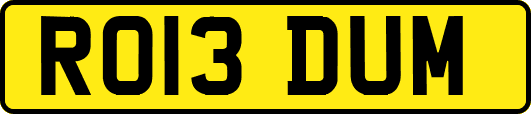 RO13DUM