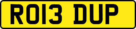 RO13DUP