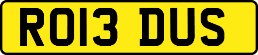 RO13DUS