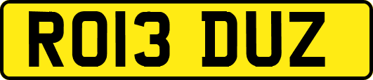 RO13DUZ