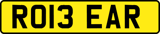 RO13EAR