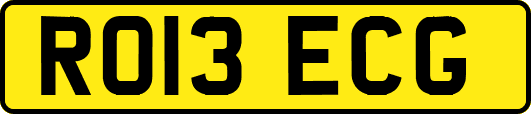 RO13ECG