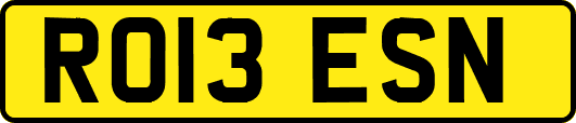 RO13ESN