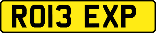 RO13EXP