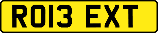 RO13EXT