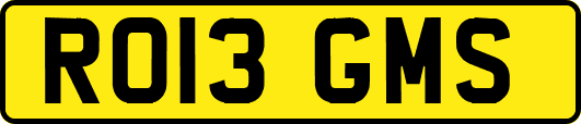 RO13GMS