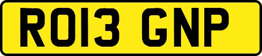RO13GNP
