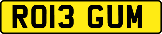 RO13GUM