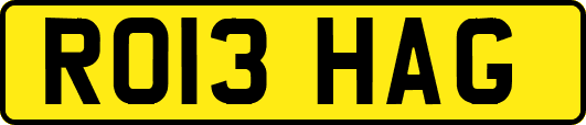 RO13HAG
