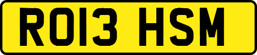 RO13HSM