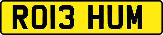 RO13HUM