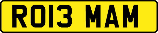 RO13MAM