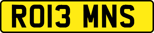 RO13MNS