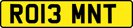 RO13MNT