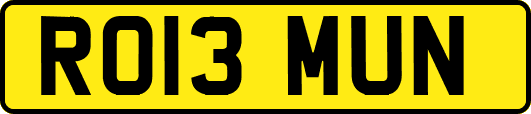 RO13MUN