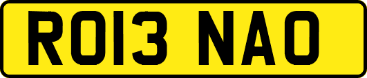 RO13NAO