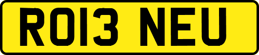 RO13NEU