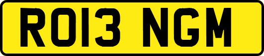 RO13NGM