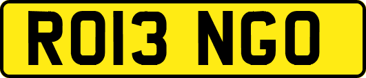 RO13NGO