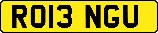 RO13NGU
