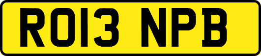 RO13NPB