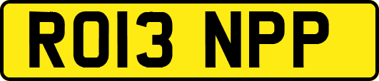 RO13NPP