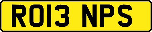RO13NPS
