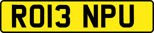 RO13NPU