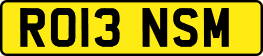 RO13NSM