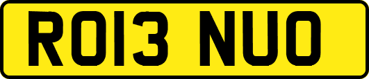 RO13NUO