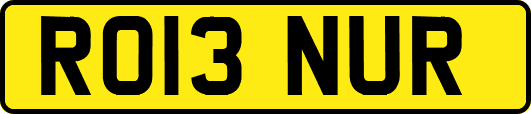 RO13NUR
