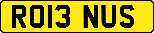 RO13NUS
