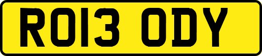 RO13ODY
